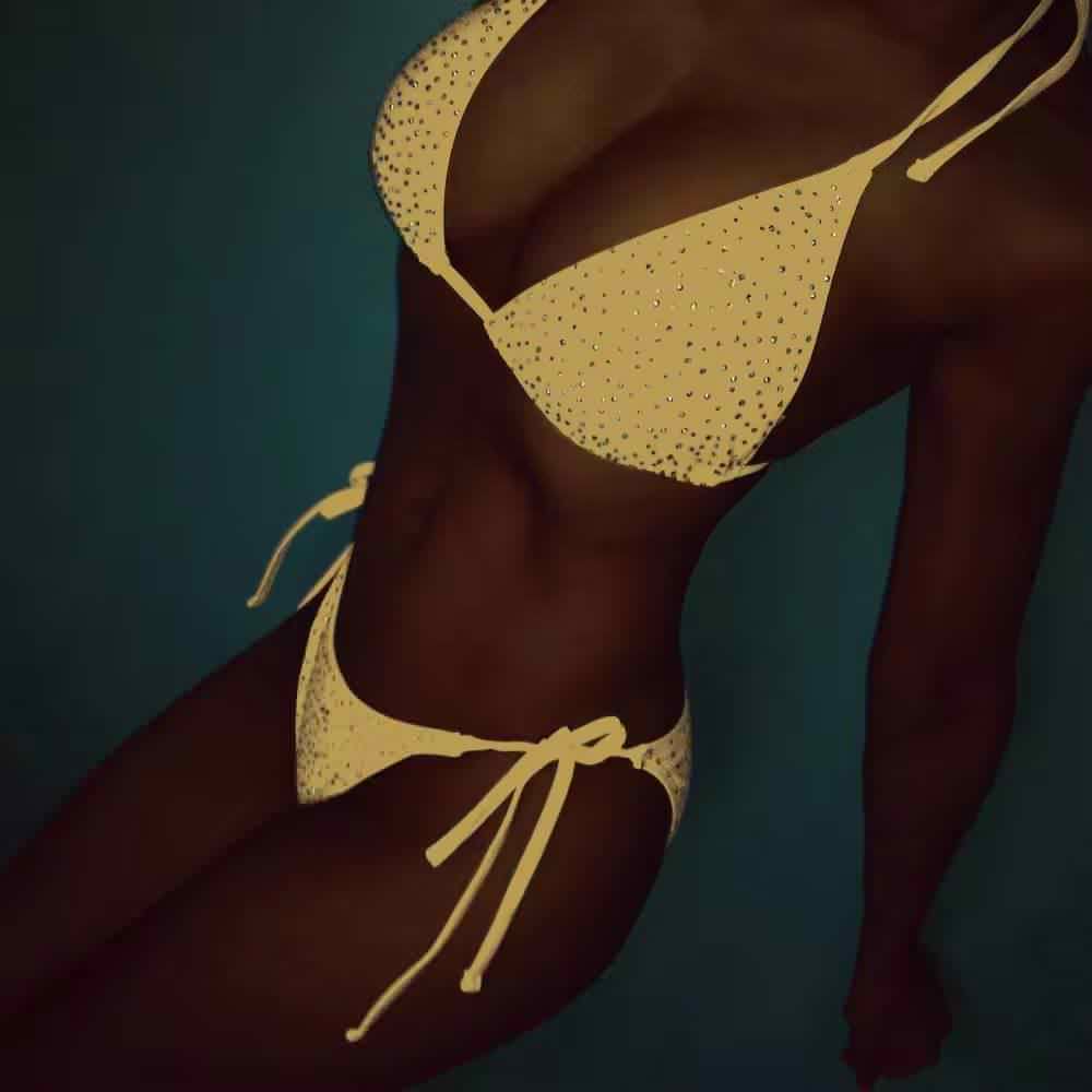 AE182 Two Piece Studded Bikini Set