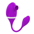 E090 Purple 10 Mode Clitoris Sucker and G-Spot