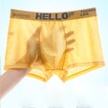 AL119 Men's Summer Ice Silk Seamless Knitted Boxer