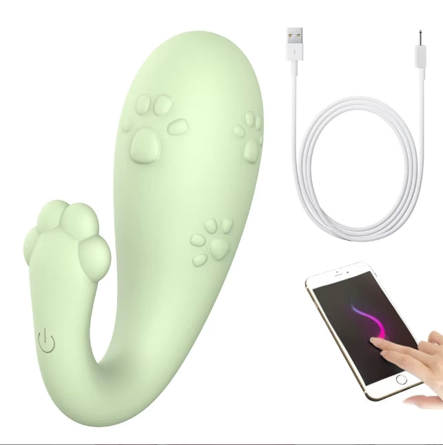 EW37 Phone Remote Control Egg Vibrator