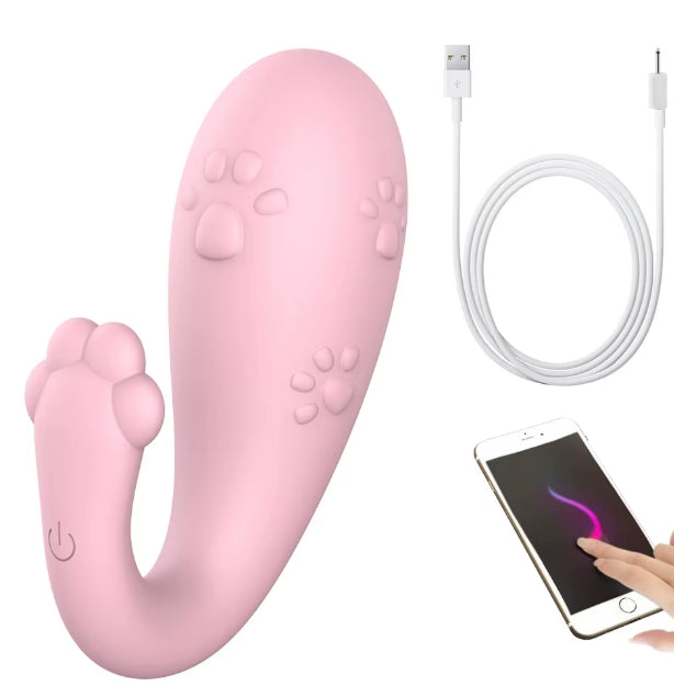 EW37 Phone Remote Control Egg Vibrator
